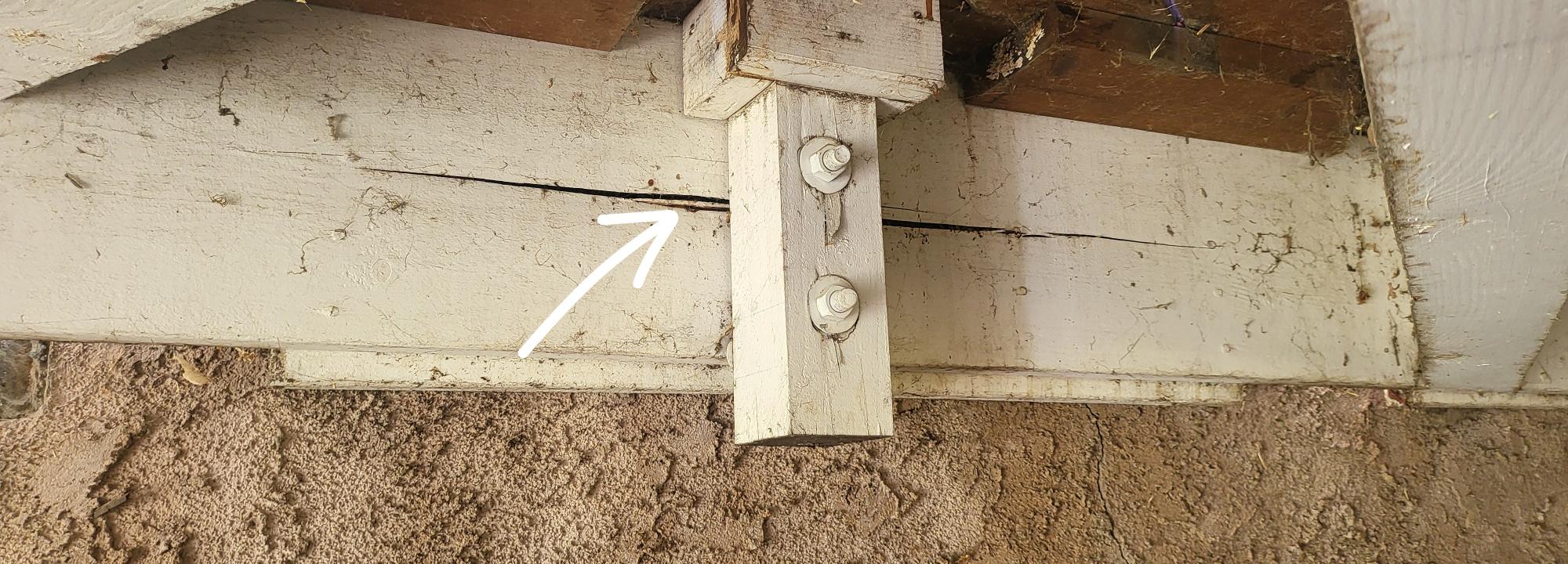 Zen-Cal Termite